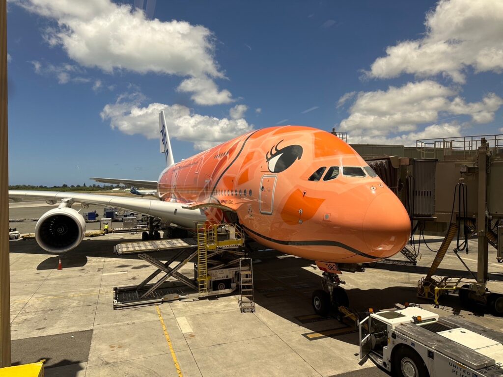ANA A380 FLYING HONU 2号機カイと3号機ラー ビジネスクラスで行く